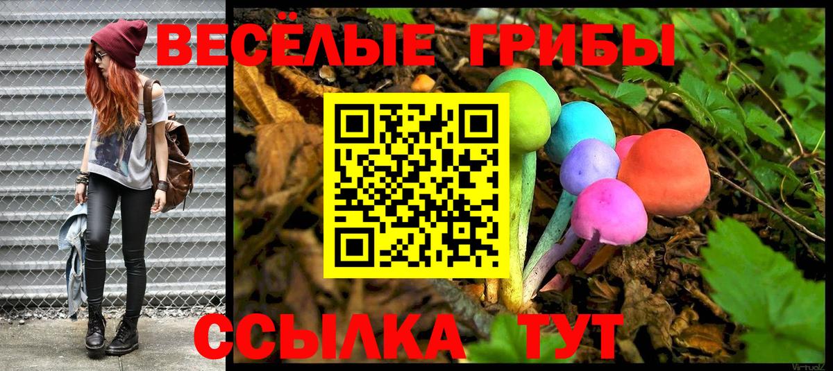 Новокузнецк  Псилоцибиновые грибы Magic Shrooms  цены наркотик  Вход с VPN  Псилоцибиновые грибы GOLDEN TEACHER 