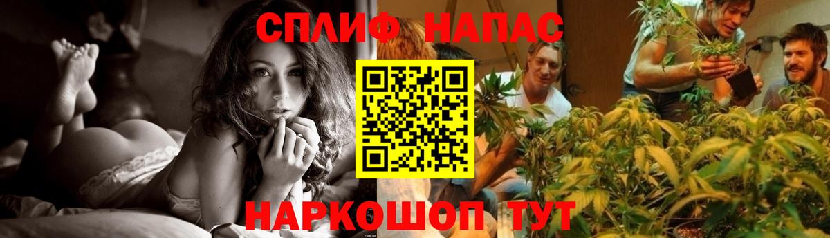 Бошки марихуана White Widow  Конопля ГИДРОПОН  Вход с VPN  Новокузнецк 